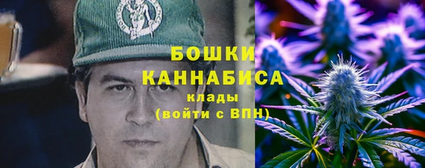 гидра Богданович